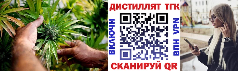 где продают наркотики  ссылка на мегу ССЫЛКА  ТГК концентрат  Гвардейск 