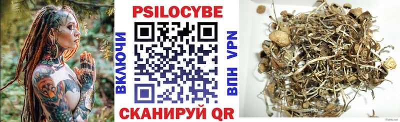 Псилоцибиновые грибы GOLDEN TEACHER Гвардейск